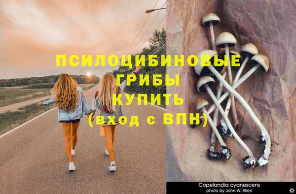 первитин Богородск